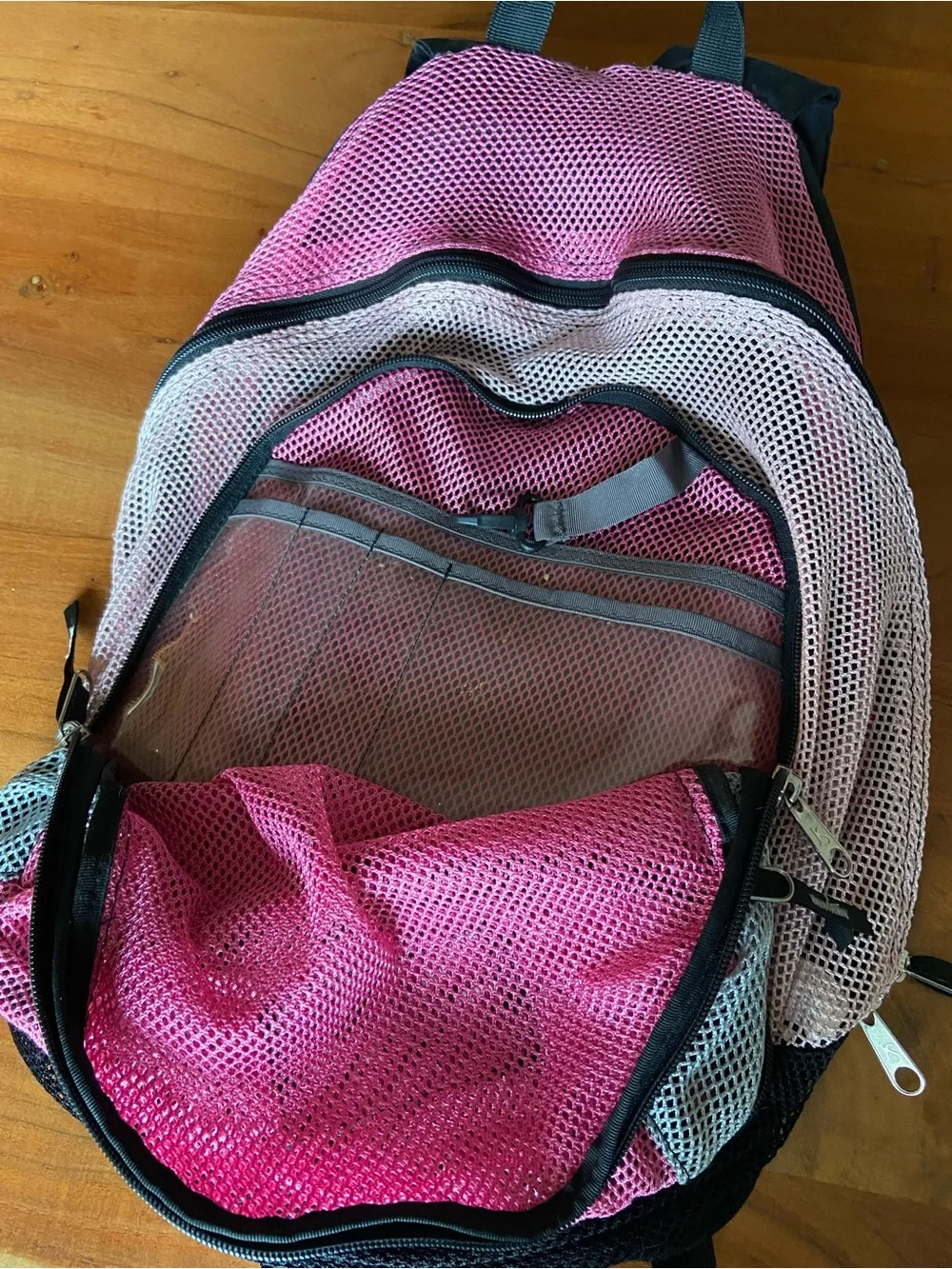 Y2K Jansport Pink Mesh Backpack
